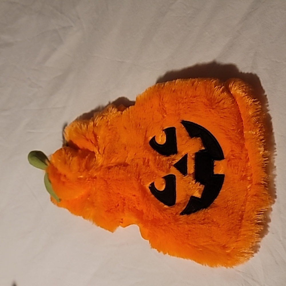 XS dog pumpkin coat